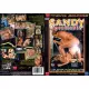 Sandy Insatiable