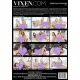 Threesome Fantasies 6