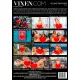 Young Fantasies 5
