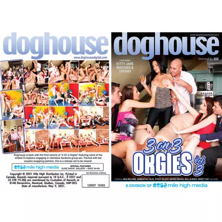 3 On 3 Orgies 3