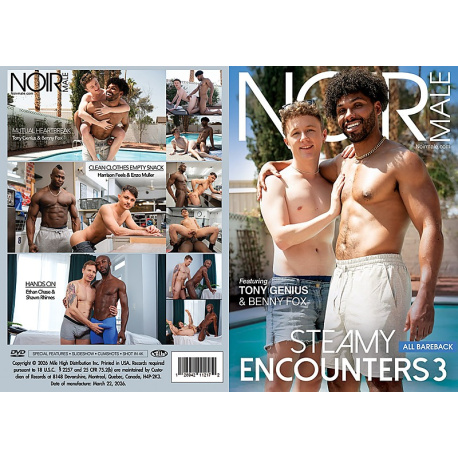 Steamy Encounters 3 - (Gay)